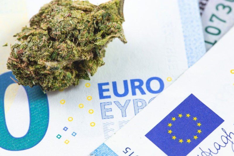 Euro weed support
