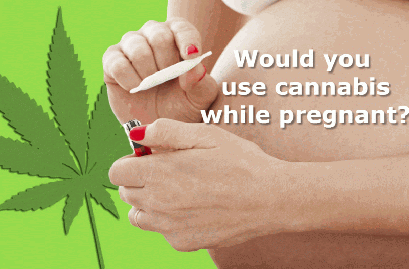 Pregnant Cannabis