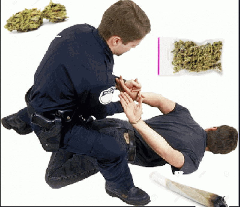 Busted For Weed
