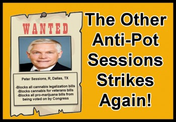 The Other Anti-Pot Sessions Strikes Again