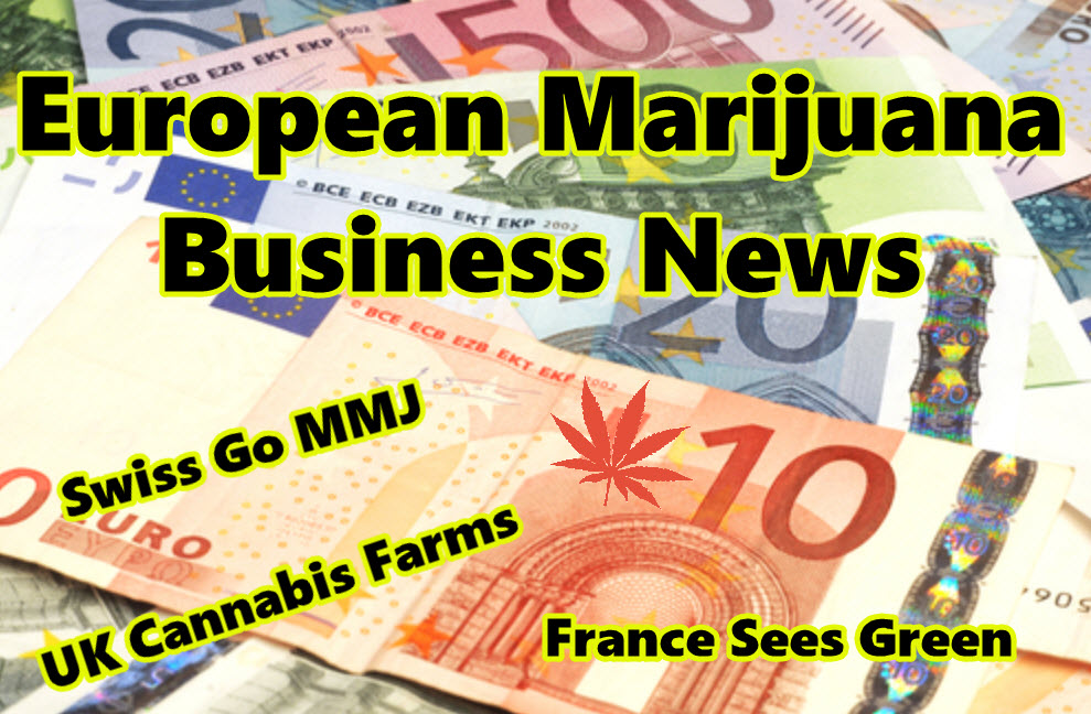 European Marijuana Business News