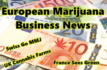 European Marijuana Business News