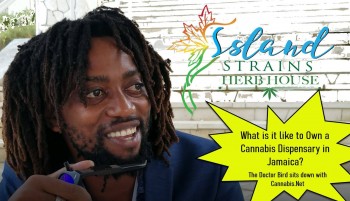 What is it Like to Own a Marijuana Dispensary in Jamaica?