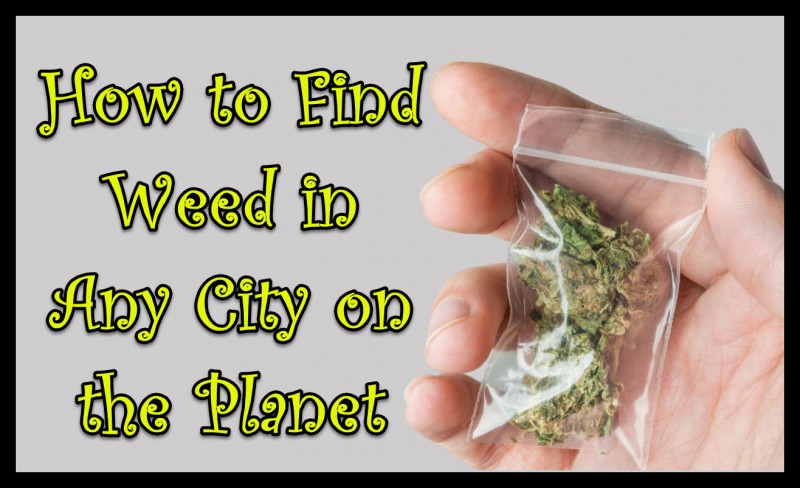 how to find weed