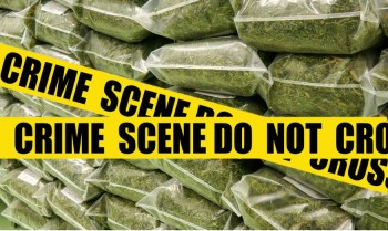 The Great 4/20 Heist - 600 Pounds of Confiscated Weed Stolen for Colorado State Police Station