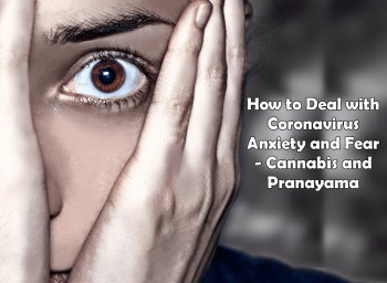 Tips for Dealing with Coronavirus Anxiety and Fear - Cannabis and Pranayama Breathing