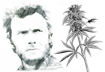 Do You Feel Lucky, Punk? - Clint Eastwood Awarded $6.1 Million in CBD Lawsuit Win