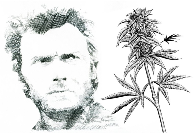 Clint Eastwood CBD Lawsuit