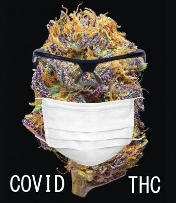 THC Found To Be Helpful In Mitigating COVID-19 Symptoms Says New Study