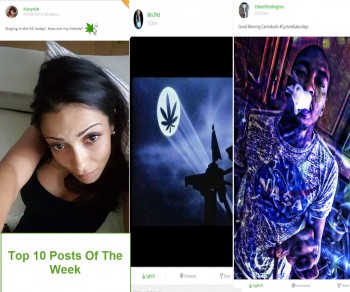 Top 10 Cannabissuer Pictures Of The Week (#3 Rocks)