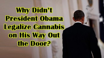 Why Didn’t President Obama Legalize Cannabis on His Way Out the Door?