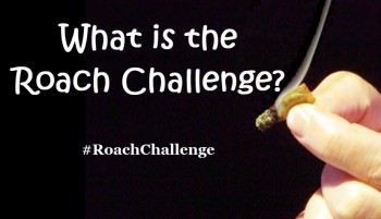 What is the Roach Challenge? #RoachChallenge