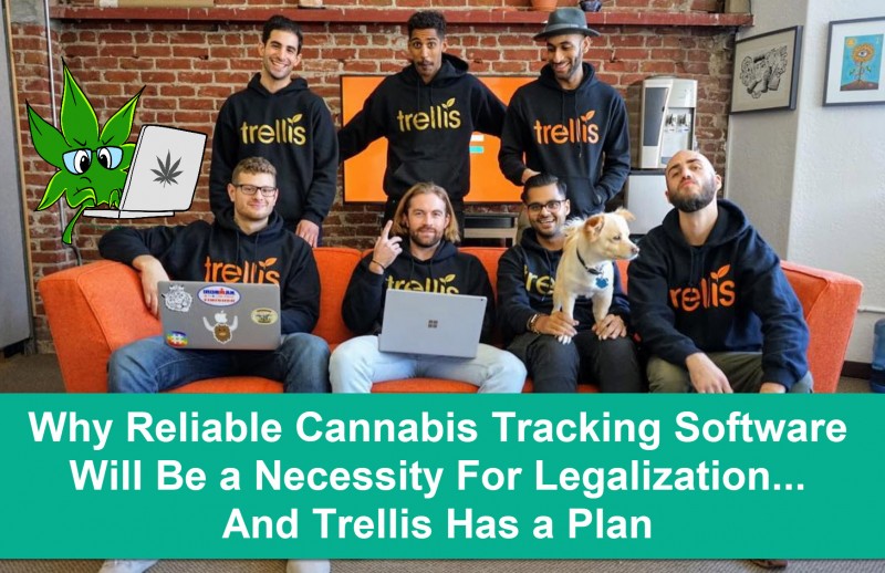 Trellis software team