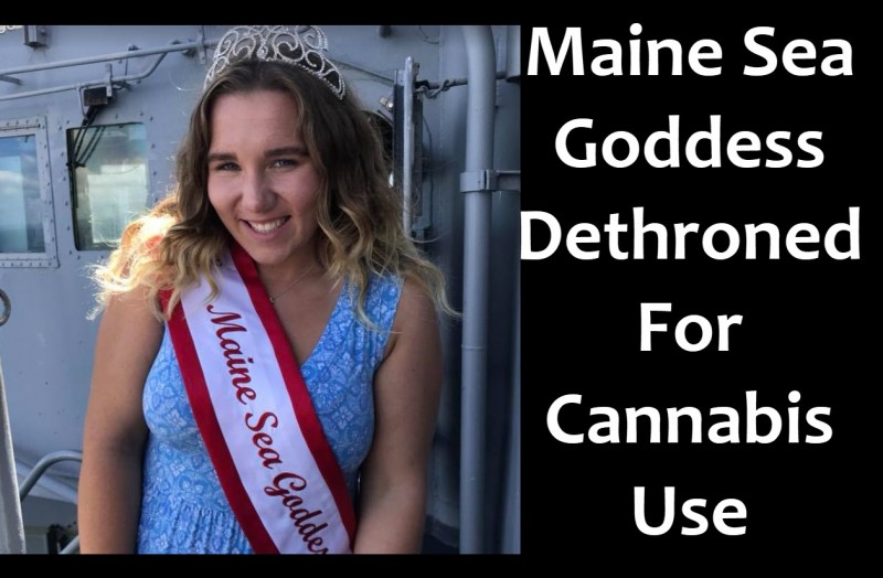 Maine Sea Goddess Weed