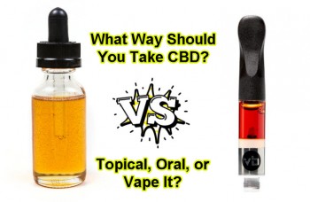What Way Should You Take CBD? Topical, Oral, or Vape It?