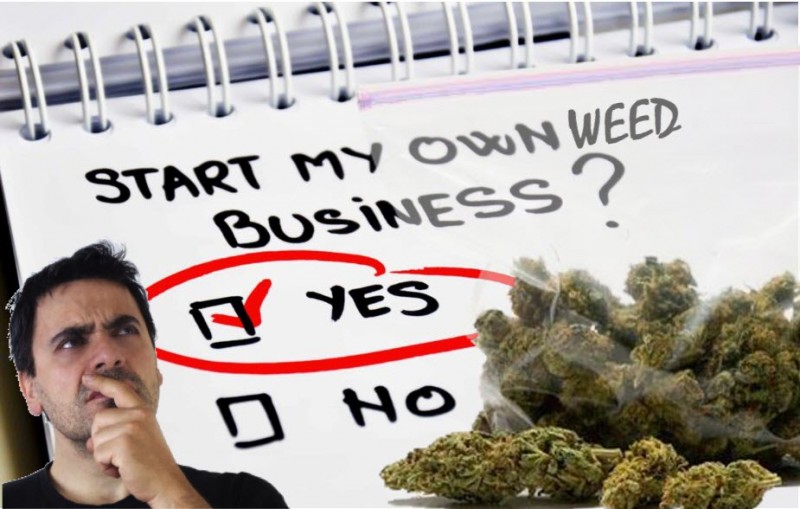 starting a marijuana business now