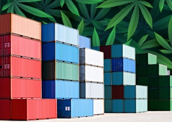 We Have No More Room for All This Weed! - NYC is Running Out of Space for All the Shipping Containers of Confiscated Marijuana