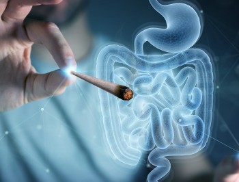 Is Cannabis Good for Gut Health?