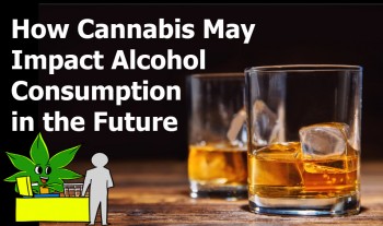 How Cannabis May Impact Alcohol Consumption in the Future