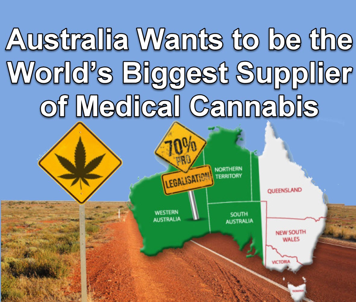 Australia Wants to be the World’s Biggest Supplier of Medical Marijuana