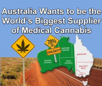 Australia Wants to be the World’s Biggest Supplier of Medical Marijuana