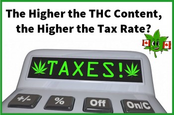 Should You Pay a Higher Cannabis Tax for Higher THC Content?