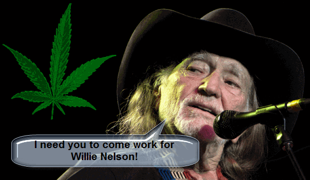 Work For Willie Nelson And His Weed