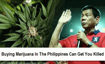 Buying Marijuana In The Philippines Can Get You Killed