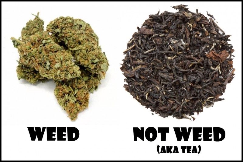 weed or tea