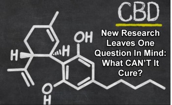 New CBD Research Leaves One Question In Mind: What CAN’T It Cure?