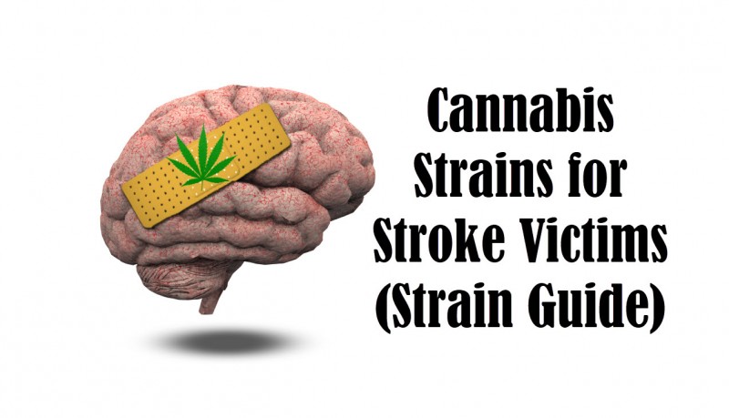 cannabis for stroke victims