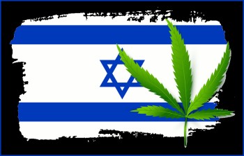 The Latest Israeli Cannabis News Updates - Imports Pick Up, Yeruham's Oasis, Tourette's Syndrome, and C-Suite Changes
