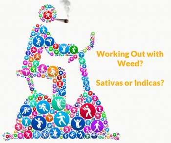 Working out with Weed - Sativa or Indica?