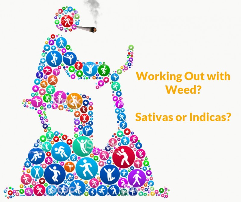 sativas or indicas to workout