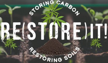 How Can Cannabis Support Regenerative Agriculture?
