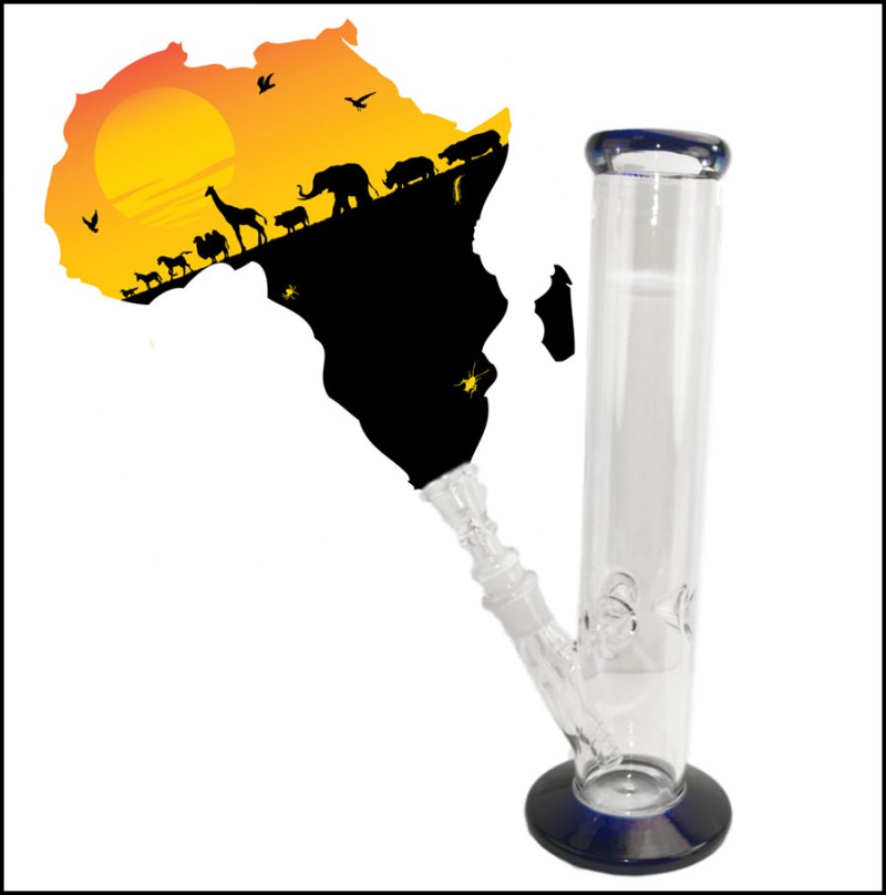 South Africa cannabis regulations