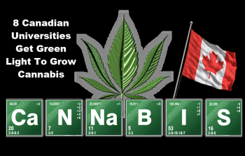 8 Canadian Universities Get Green Light To Grow Cannabis