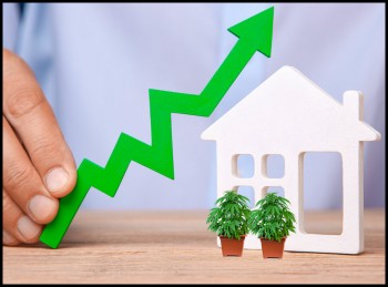 Why Are Home Prices Way Up? Well, Weed is One Reason if You Live in a Legal State