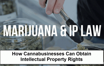 Protect Your Marijuana IP Rights and Cannabis Patents