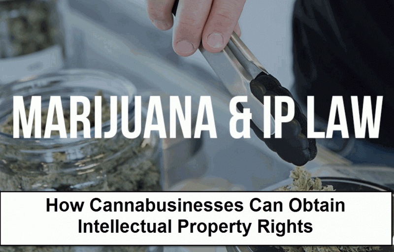 marijuana IP rights