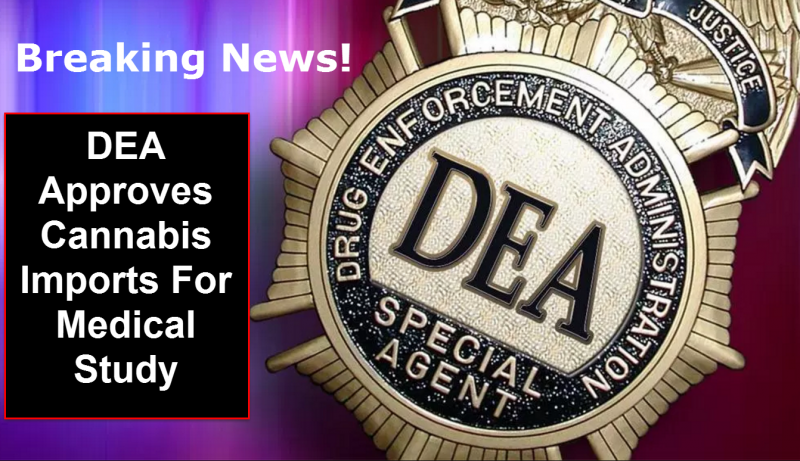 DEA Cannabis Research