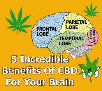 5 Incredible Benefits Of CBD For Your Brain