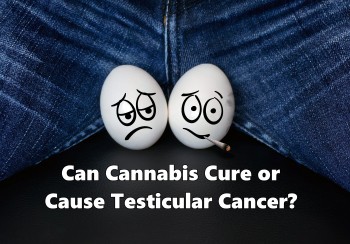 Can Cannabis Cure or Cause Testicular Cancer?
