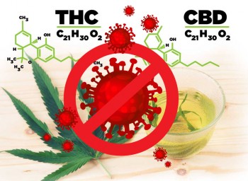 Study Shows Combination of CBD and Terpenes Can Fight COVID-19, But Where Does That Leave THC?