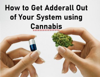 How to Get Adderall out of Your System Using Cannabis
