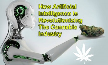How Artificial Intelligence Is Revolutionizing The Cannabis Industry