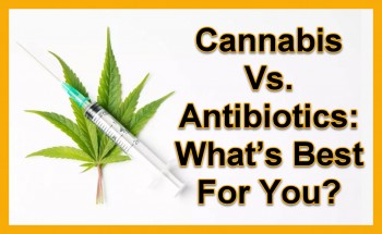 Cannabis Vs. Antibiotics: What’s Best For You?