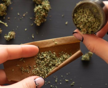 What is the Difference Between a Spliff, a Joint, and a Blunt? (Cannabis 101)
