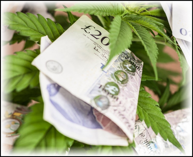 UK medical cannabis program worth
