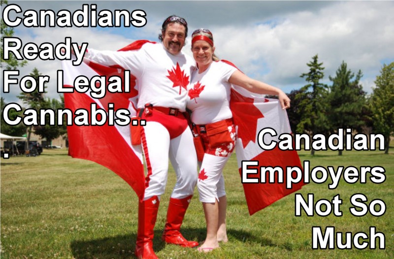 canadian cannabis employers